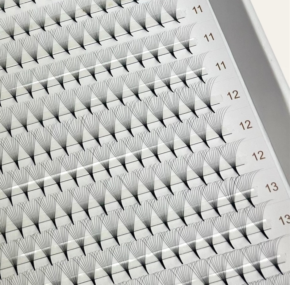 Pre-made Fans 10D - D Curl