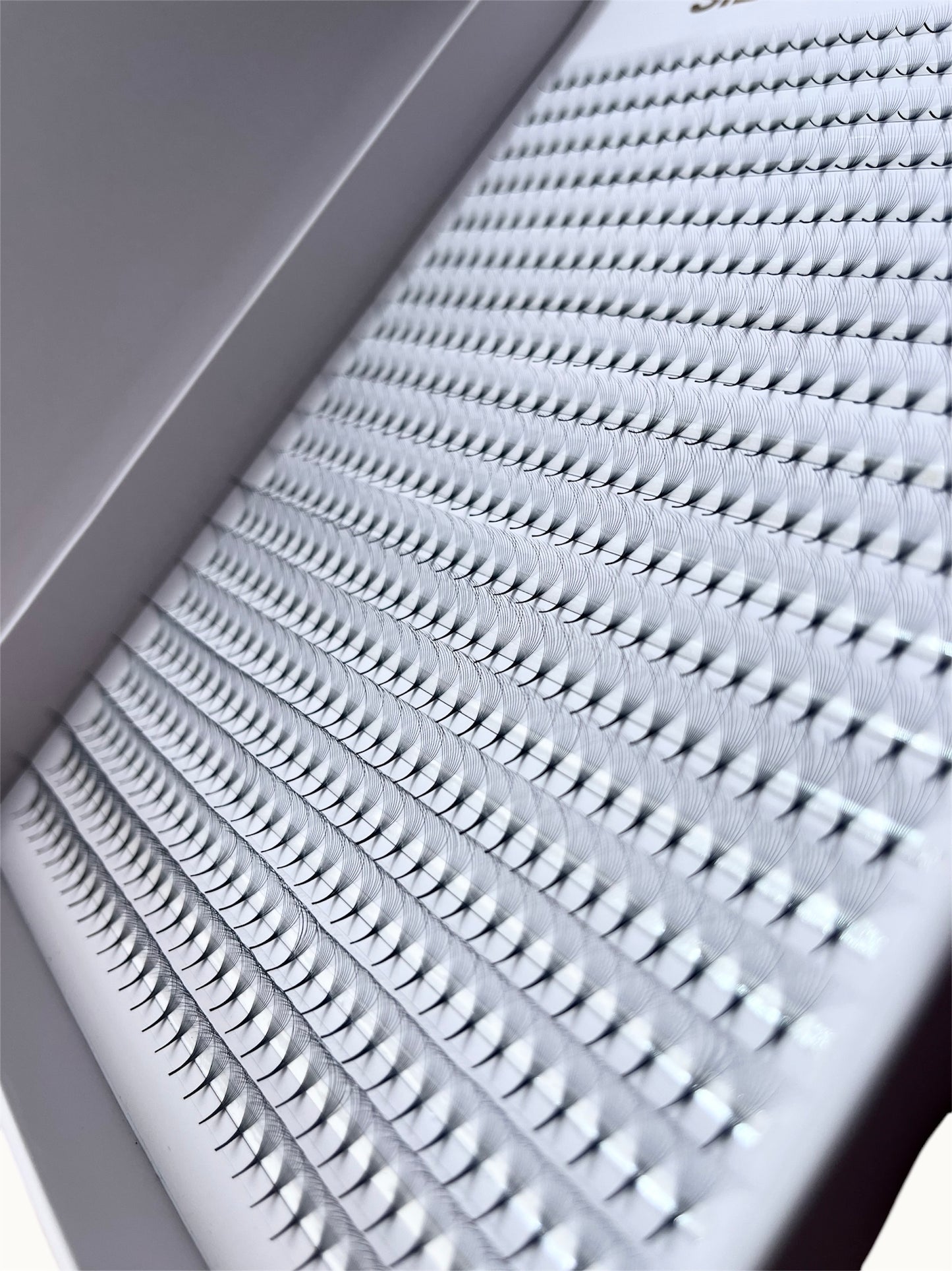 Pre-made Fans 10D - D Curl